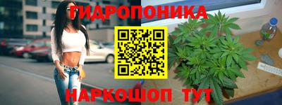 а пвп мука Кинель