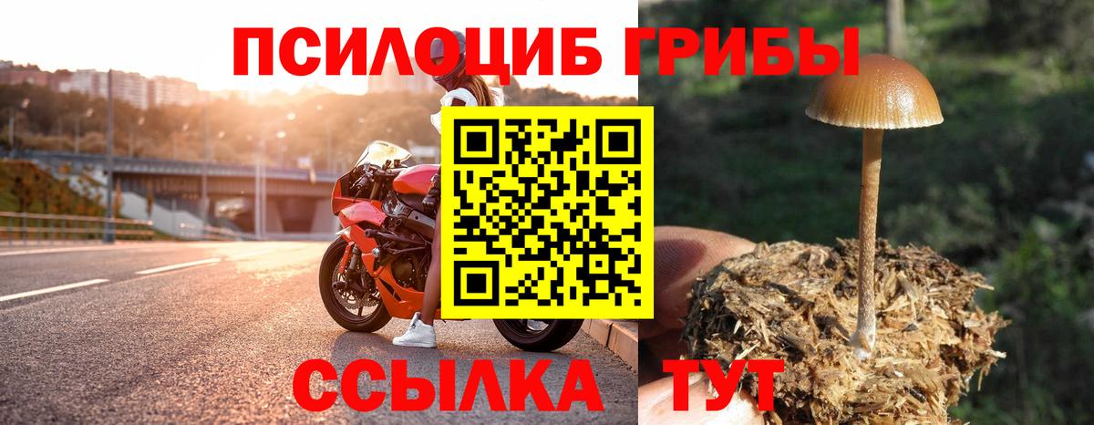 Галлюциногенные грибы Psilocybine cubensis  Вход с VPN  где найти наркотики  Каменск-Шахтинский 