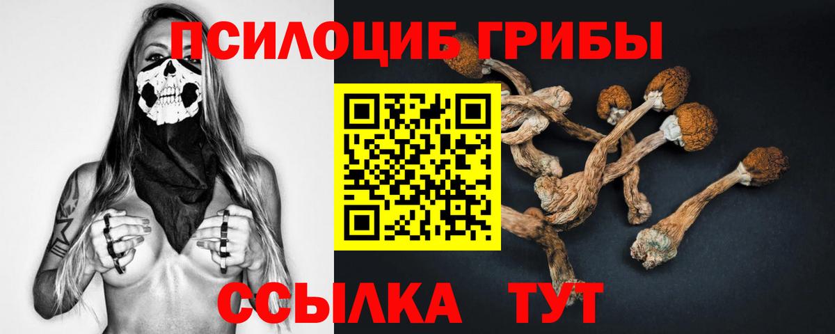 Галлюциногенные грибы ЛСД Каменск-Шахтинский